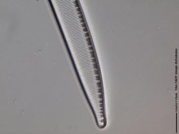 C222.2.JPG