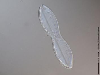 C223.4.JPG