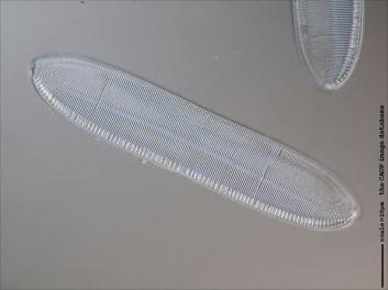 C224.3-4.jpg