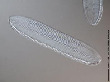 C224.4.JPG