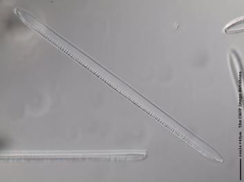 C228.2.JPG