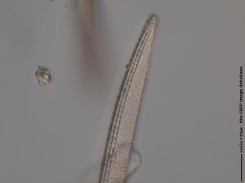 C235.3.JPG