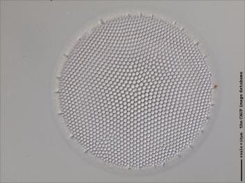 C304.2-3.jpg