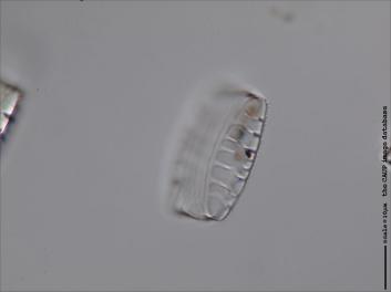 C309.3-4.jpg