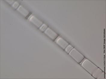 C324.1-2.jpg