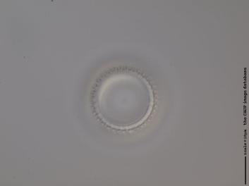 C324.9.JPG
