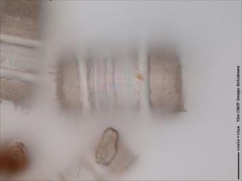 C329.3-5.jpg
