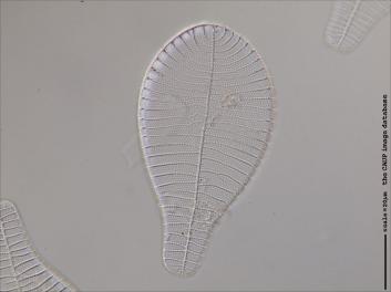 C402.1-5.jpg