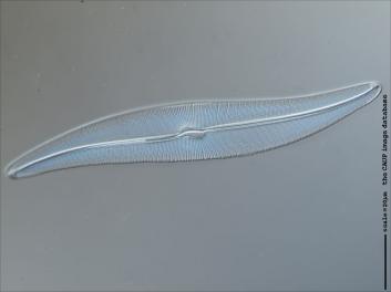 C407.1-2.jpg