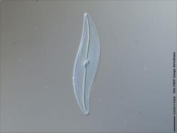 C408.4-5.jpg