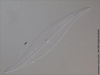 C415.1+3.jpg