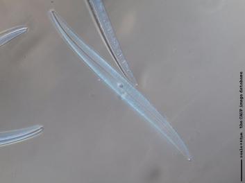 C422.3.JPG