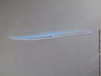 C422.4.JPG