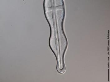 C427.2-3.jpg