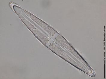 C431.2-6.jpg