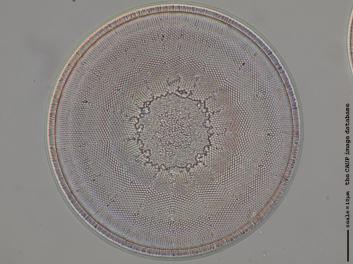 C432.1-6.jpg