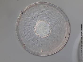 C434.1-4.jpg
