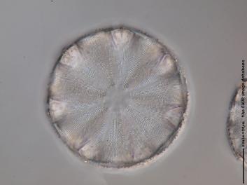 D101.1-8.jpg
