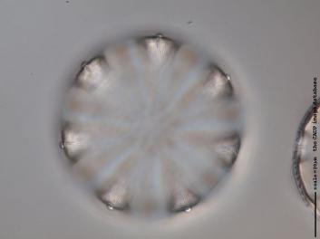 D101.1.JPG