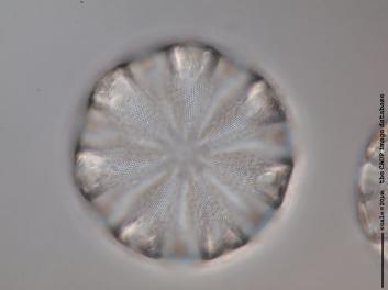 D101.3.JPG