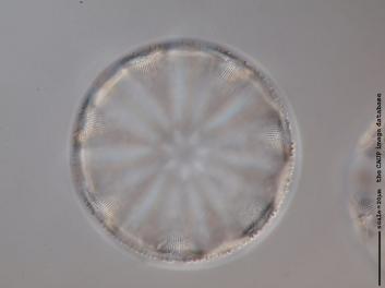 D101.8.JPG