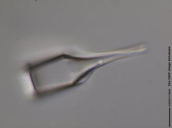 D103.2.JPG