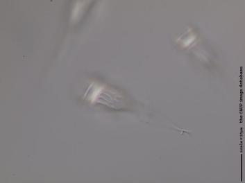 D104.1.JPG