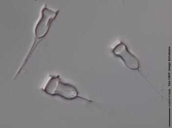 D104.7-8.jpg