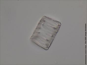 D112.1-7.jpg