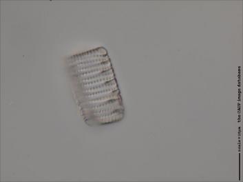D112.8-10.jpg