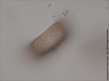 D115.4-7.jpg