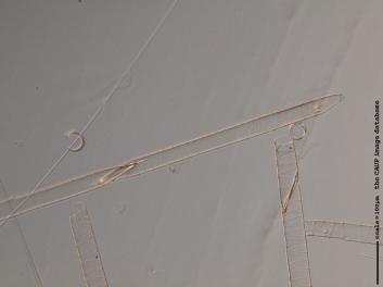 D119.4.JPG