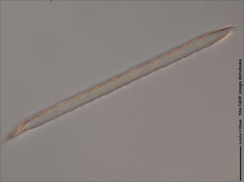 D120.2-3.jpg