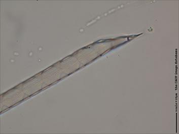 D120.4-6.jpg