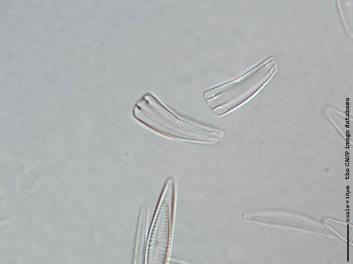 D122d.jpg