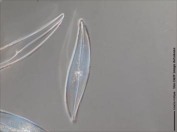 D125.3-4.jpg