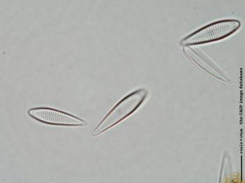 D126b.jpg