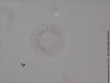 D214.2-3.jpg