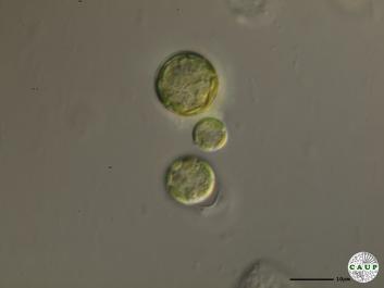 D301d.JPG
