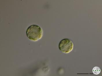 D301e.JPG
