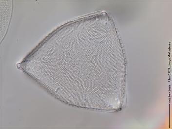 D407.6-9.jpg