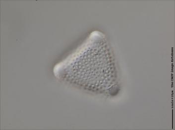 D409.4-5.jpg