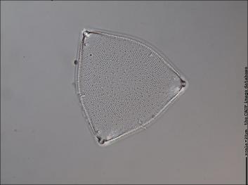 D413.1-4.jpg