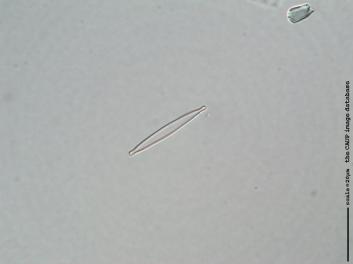 D419d.jpg