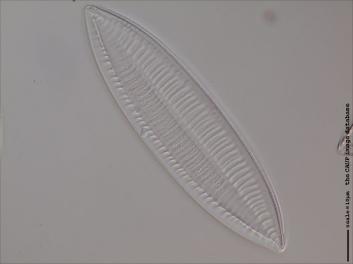 D422.4-5.jpg