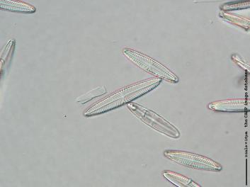 E013a.jpg