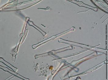 E044a.jpg
