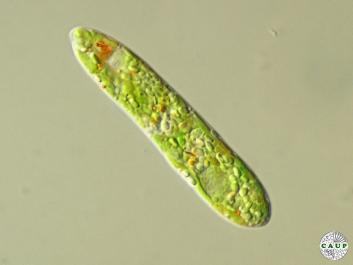 E201_3.jpg