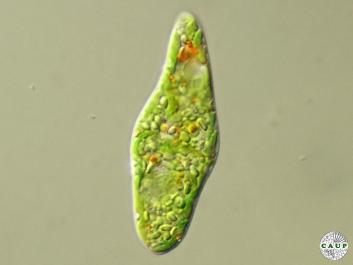 E201_4.JPG
