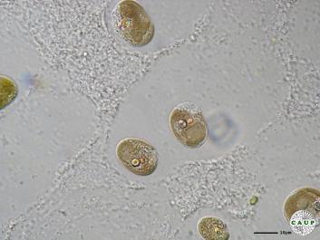 F105_7.JPG